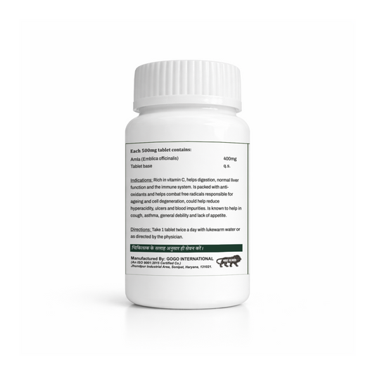 Amla 60 Tab Herbal Supplement | Ayurvedic Wellness by BV Life