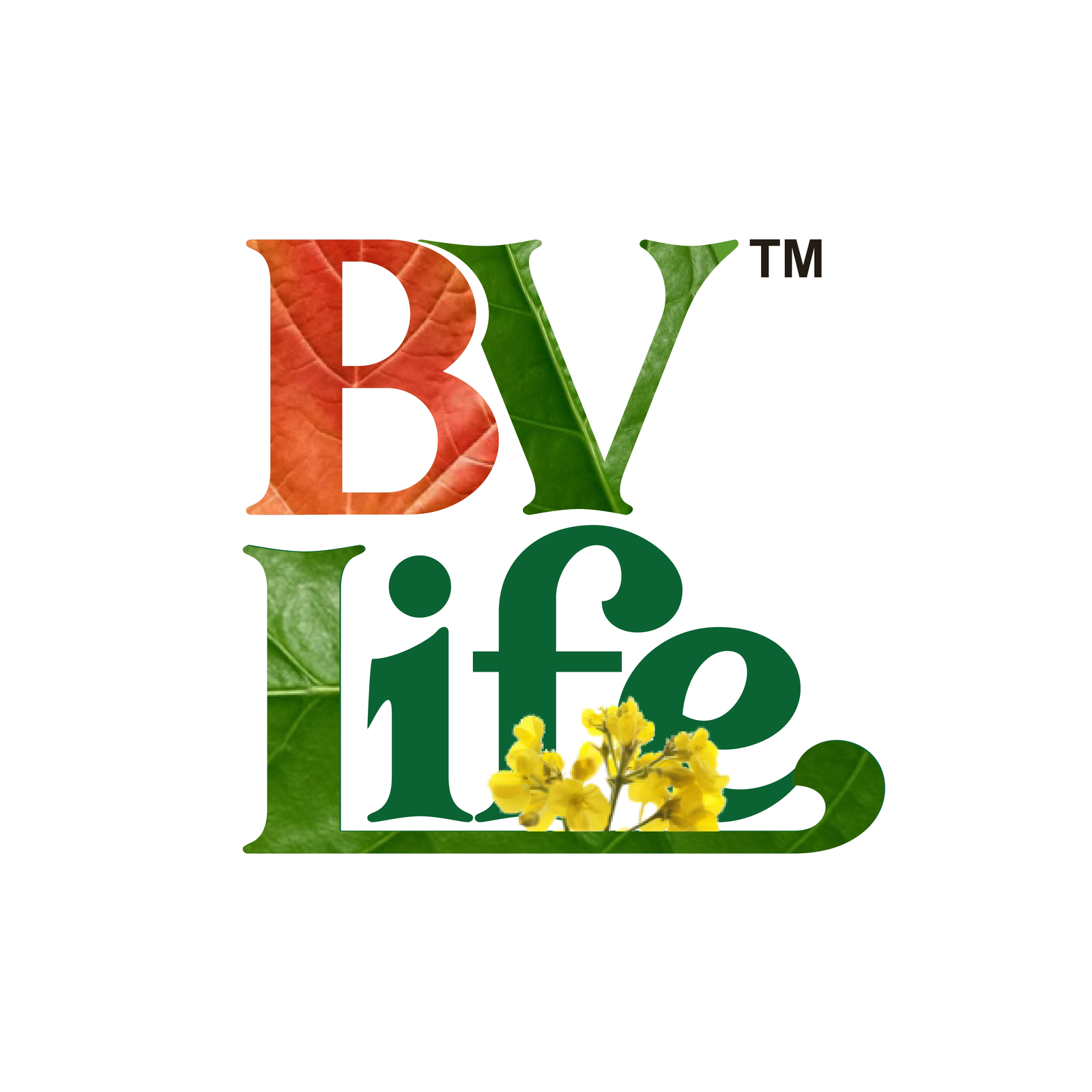 BV Life Logo