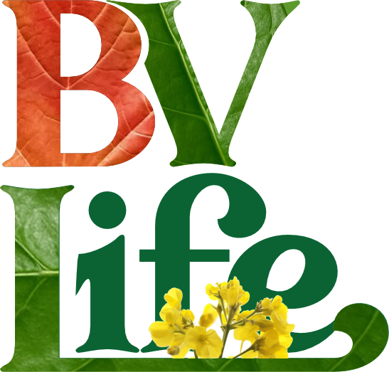 BV Life